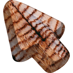 Feather Animal Skin Texture Cursor Default