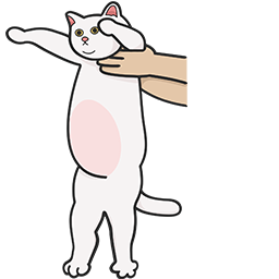holding a cat Default