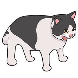 scream cat Pointer